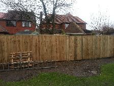 timber fencing ,close boarded,using concrete posts.